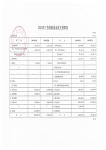 附件4.2025年工伤保险基金收支预算表.pdf